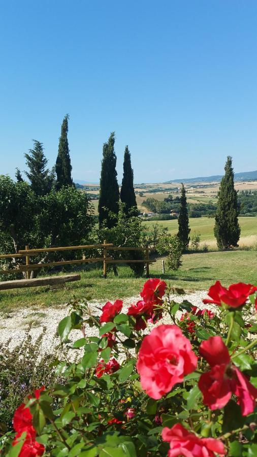 B&B Il Poggio Di Fiore Castellina Marittima Exterior photo