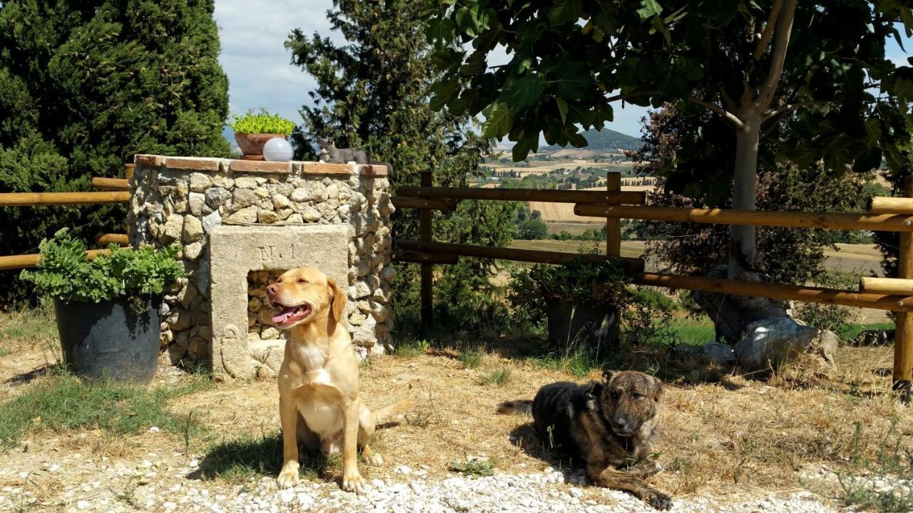 B&B Il Poggio Di Fiore Castellina Marittima Exterior photo